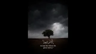 وقال اركبوا فيها بسم الله مجراها ومرساها إن ربي لغفور رحيم هود ٤١ قرآن 