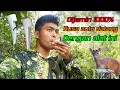 Download Lagu Inilah alat pemanggil Kijang/Rusa paling ampuh, dijamin rusa bakal berlarian kedepan anda #pikat