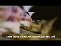 Lagu True love - Ariana grande [sped up]