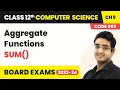 Aggregate Functions - SUM Class 12 Computer Science Chapter 9 CBSE 2025-26