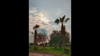  انا طفل وعمرى الف عاما  دندنها