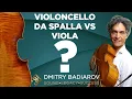 Lagu Violoncello Da Spalla VS Viola: Which One Is More Natural?