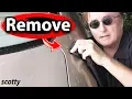 How to Remove Tree Sap and Bird Poop from Car Paint - The Right Way