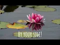 By Your Side (Felix Jaehn Remix) (Spanish Cover) [Visualizer]