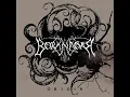 Borknagar - Oceans Rise [with lyrics]