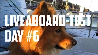 Sail Life – Liveaboard test day 6, Jökull (my dog) and fixing the toilet