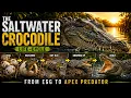 Saltwater Crocodile From Egg to Adulthood Full Life Cycle Documentary