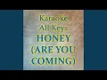 Download Lagu HONEY (ARE YOU COMING)
