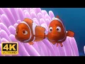 Download Lagu Finding Nemo (2003) Opening Scene, Meet Nemos Mom \u0026 Dad, Barracuda Attacks (Remastered 4K 60FPS)