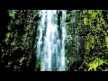 El Búho - Aguas Claras