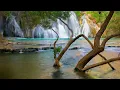 Bonobo - Kiara