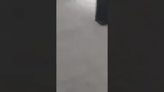 عركه حاكمة و بنت عيت المنتصر في البريقة ليبيا 