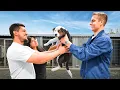 Download Lagu I Adopted EVERY Dog In A Dog Shelter
