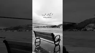 سنين بعد سنين حنين حالات واتس 