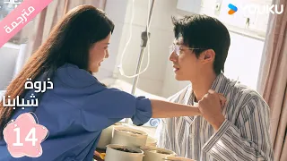 مترجمة الحلقة 14 من دراما ذروة شبابنا Summit Of Our Youth سون جين ني تشين جين كي YOUKU 