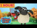 1 HOUR of the BEST of Timmy Time