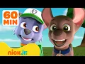 Lagu PAW Patrol | PAW Patrol: Große Gefühle! mit Rocky \u0026 Zuma | Nick Jr. Deutschland