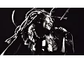 Download Lagu Bob Marley - Roots Rock Reggae - Amazing live 1976