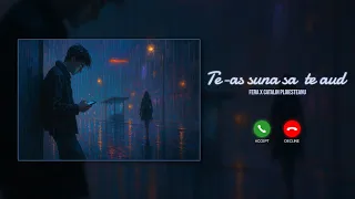 FERA si Catalin Ploiesteanu - Te-as suna sa te aud