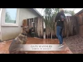 5 Bull Mix Snoop