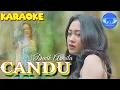 Lagu CANDU II KARAOKE CEWEK II Versi Denik Armila