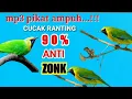 suara pikat mp3 cucak ranting jernih keras durasi panjang...!!!