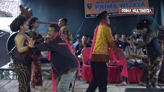 kepilut tayub jombang prima wijaya