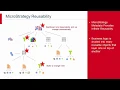 Object Reusability in MicroStrategy
