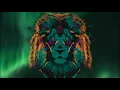 Download Lagu GROOVE LION | Ecstatic Dance DJ set | 90 minutes