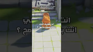اتقنت دور القط اوي 