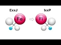 Feeling Fe vs Fi