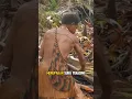 Download Lagu SUKU KOROWAI DI HUTAN PAPUA #videoreels #tradisi #budaya #papua #sukupedalaman #papuaindonesia