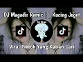 DJ MAGADIR MAGADIR REMIX || KUCING JOGET VIRAL TIKTOK YANG KALIAN CARI!!!