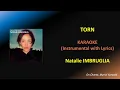 Download Lagu NATALIE IMBRUGLIA -TORN - KARAOKE (HQ)