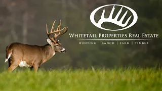 Why Whitetail Properties is the Hunting and Land Real Estate Company