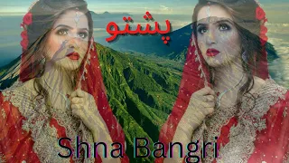 shna bangri pashto hot song new song sehrish khan new video 
