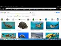Code org Computer Science Discoveries Unit 2 Lesson 7 part 1 exercises