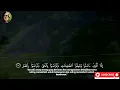 Download Lagu Muzammil hasballah- surah al asr