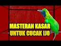 Lagu Masteran cucak ijo full isian menaikan emosi dan tembak an panjang bongkar materi