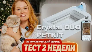 Автоматический открытый лоток Crystal DUO PETKIT для кошек - тест 2 недели с Мерси