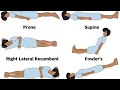 All positions in Anatomy Language of anatomy concepts of medical