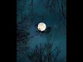 Download Lagu Surah AD–Dhuha Is the medicine of anxiety‚depression \u0026 sadnesses ♥😌Reciter : #Ridjaal_Ahmed  🦋!