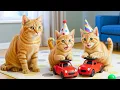 Download Lagu Mama Cat Falls While Picking Strawberries, Kind Bear Saves Her — A Healing Story of Gratitude 🐱🍓🐻