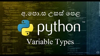 02 - Variable Types