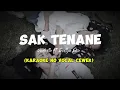 Download Lagu SAKTENANE karaoke no vocal cewek Vadesta Ft Destya Eka