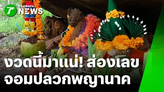 งวดนี้มาแน่! เลขเด็ด "จอมปลวกพญานาค" ป่าตลิ่งชัน | 14 ต.ค. 69 | ห้องข่าวหัวเขียว
