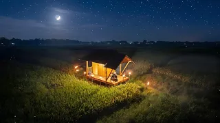 Menikmati kesunyian sawah: menguras parit & membuat layangan tradisional🔥