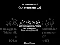 Download Lagu QS.Ar-Rahman Ayat 12-13 Kh Muammar ZA