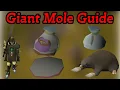 Giant Mole Guide OSRS Quick Easy Kc s Dharok Method 2026