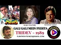 GALI GALI MEIN PHIRTA | ALKA YAGNIK , MANHAR UDHAS | TRIDEV - 1989